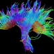 Image for article titled These Science Photos Are So Beautiful They're Basically Art